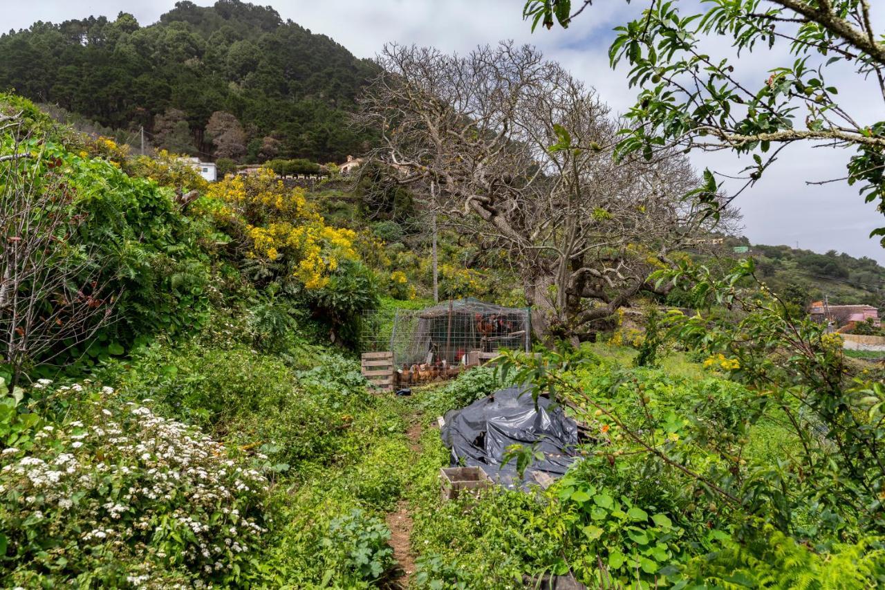 Villa Casa De Cuco à Mazo Extérieur photo